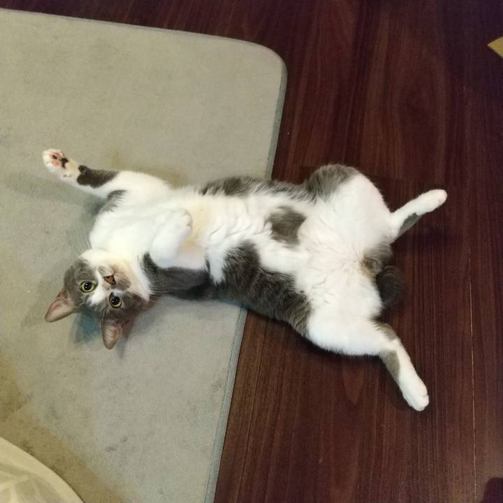 20e29b69 2045 4c38 a5d2 ba02ea9b849a 1636034312121