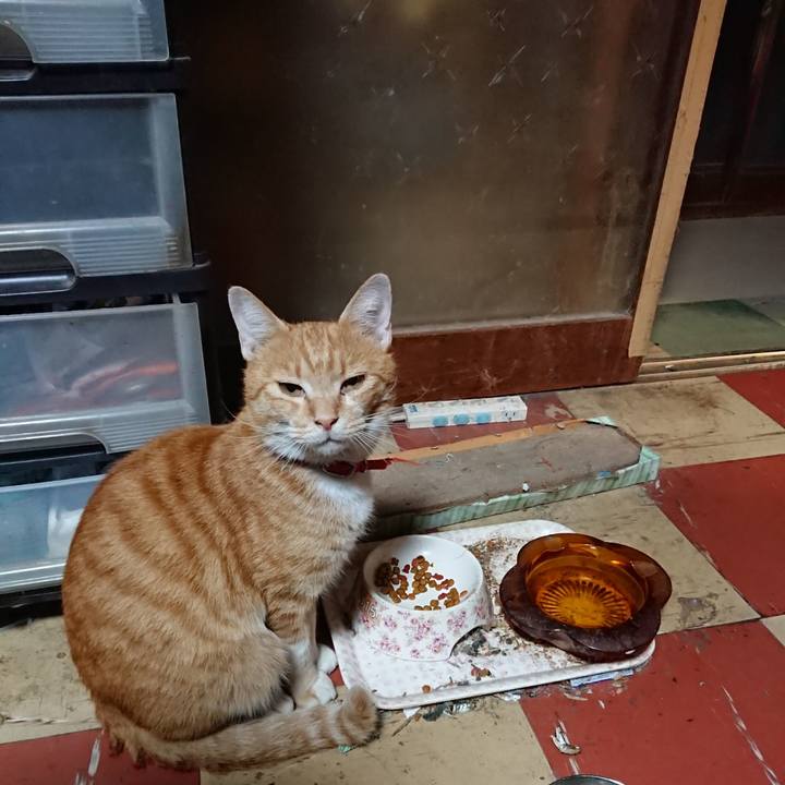 20e2b47b be69 4a6e 8f14 fcf4051e1e4f 1569491586730