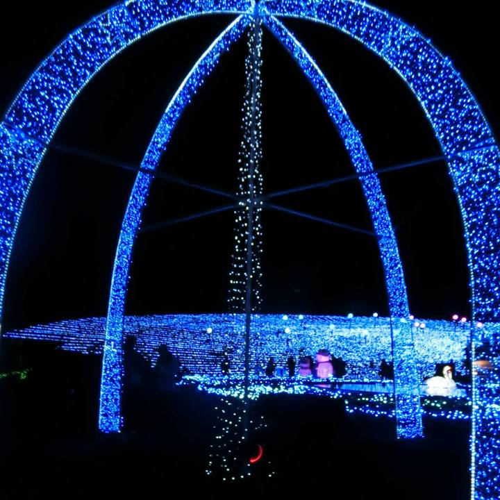 20e2b51d 3dfe 43b9 bdd2 26dc1f8c4dfe 1544272963975