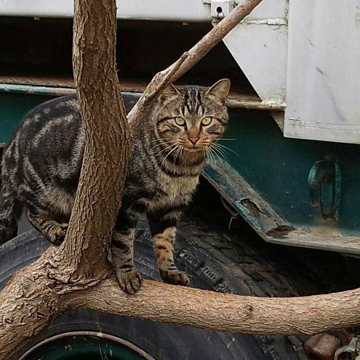 20e2baab 24f5 4ad2 9314 2f445b4895de 1510632036994