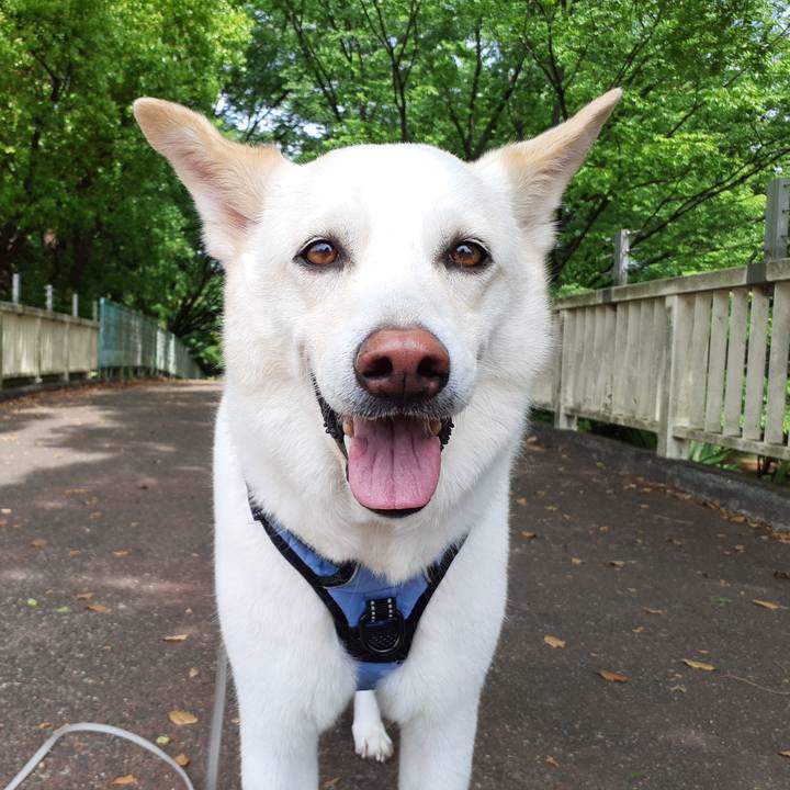 20e2d0ac 0847 4ab9 bffb 31ef22a7dd8d 1651986129873