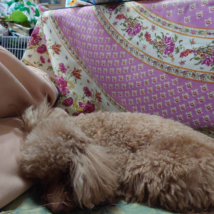 20e2e076 fae3 4ab9 a606 63fef11a5bcb 1736651768731