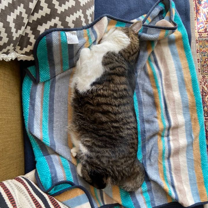 20e2fa09 8af9 4e43 bd60 b5c49eca63c8 1619484348991