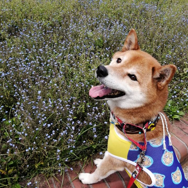 20e325f7 5632 4b78 b0eb 5e438cb6fe81 1653048634712