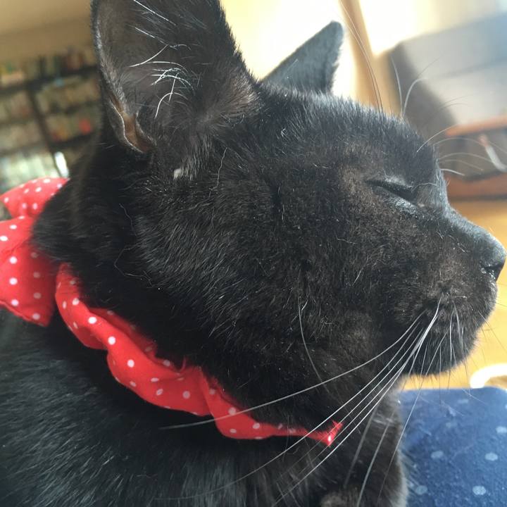 20e367a5 713e 4e96 aeb3 deaa83b8bb7b 1535865151783