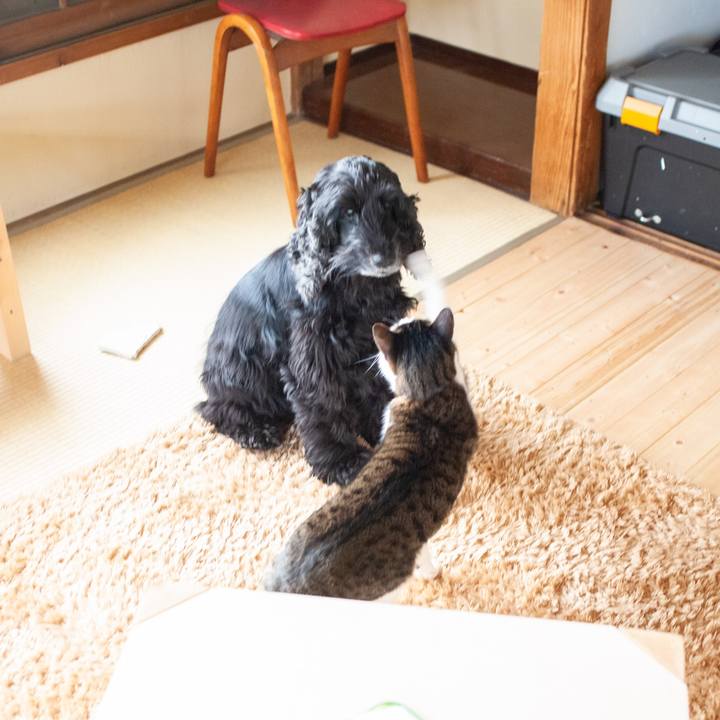 20e394c0 1f59 401e a883 6ef2635d7c4e 1583638136764