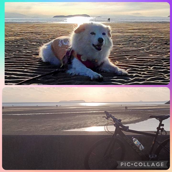 20e3c859 bde5 4c40 bd03 dd5021e81126 1762160433579