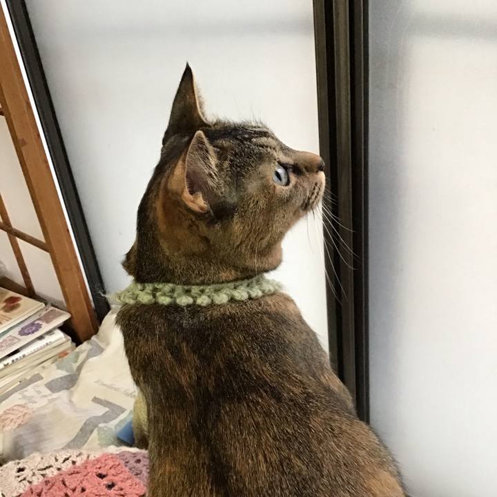 20e3c985 6345 4218 a38b 5b336450f6d8 1640917837672