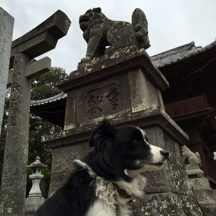 20e3d3a3 0510 4100 9928 6f19f2852afc 1542327347364