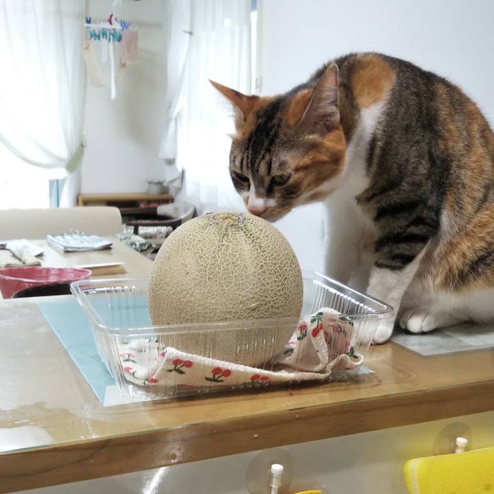 20e3d898 01ca 43c0 932f dcf4708f4ae3 1657360432919