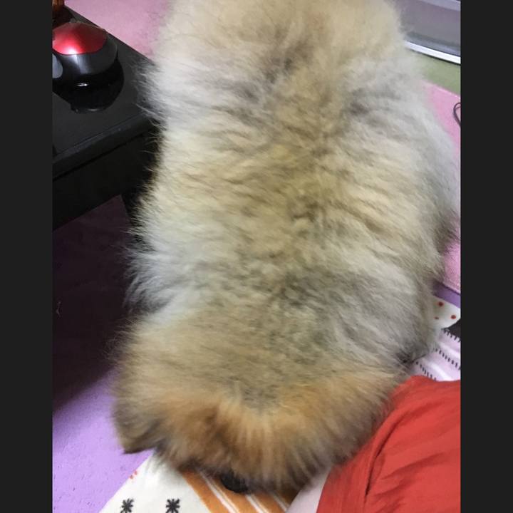 20e41503 8213 435b b20c f2fcafcba159 1563242929965