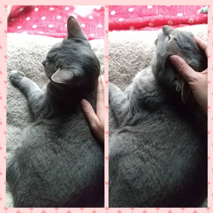 20e443c9 e728 4a4d a0e1 97845756c6fc 1684827673101