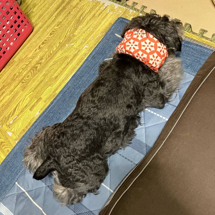 20e44efd 5e3d 4db4 8f12 2904d32f54af 1720702126109