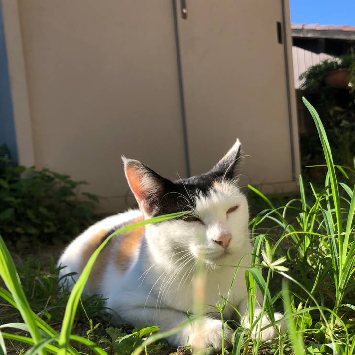 20e45850 91ab 4262 8468 80f9c4033b8b 1630194116755