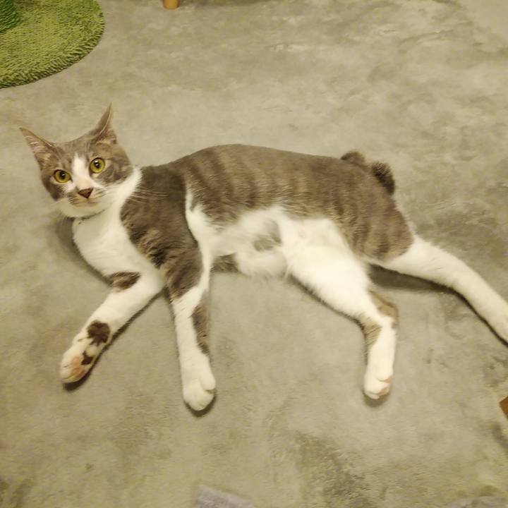 20e4b0f2 1972 42a5 8ceb cf31bf66d701 1592929411724