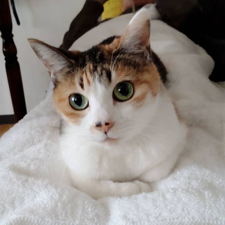 20e4c3e4 4053 420d 952b 135555a7f1fc 1647517653953