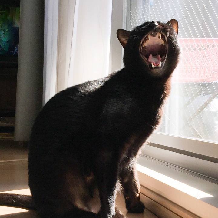 20e54894 b62c 4004 bcf4 99775efafdd5 1523167553078