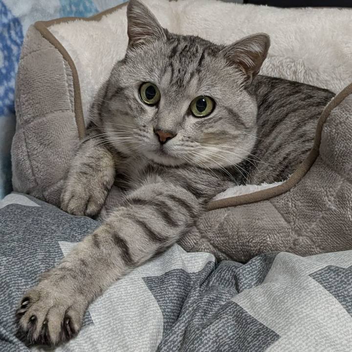 20e56659 803e 45b9 a2fb 2c010db93888 1762084260303