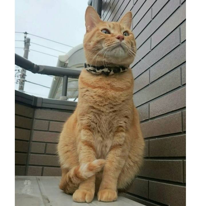 20e5966e 7a5c 4a75 aecd 8de5deb81379 1539641955925