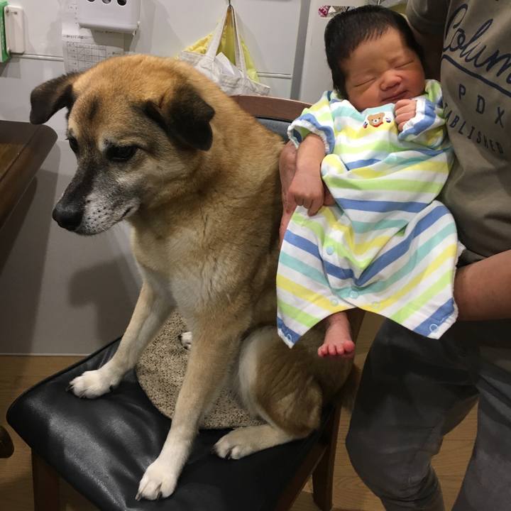 20e5b0df 4529 4f09 adbd 8c726958ab16 1527419153344