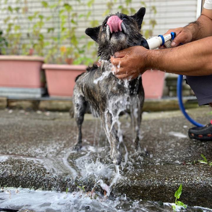 20e5cf1d 9807 4813 a378 aff5a3b5a133 1597012816366