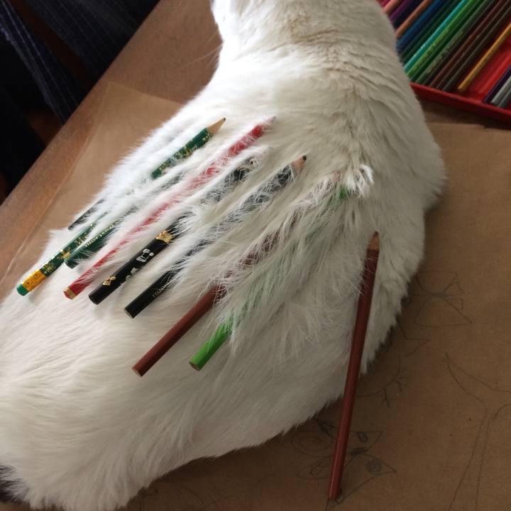 20e5e95d dc93 43fe 95d9 9ebfb6b2baee 1535242548786