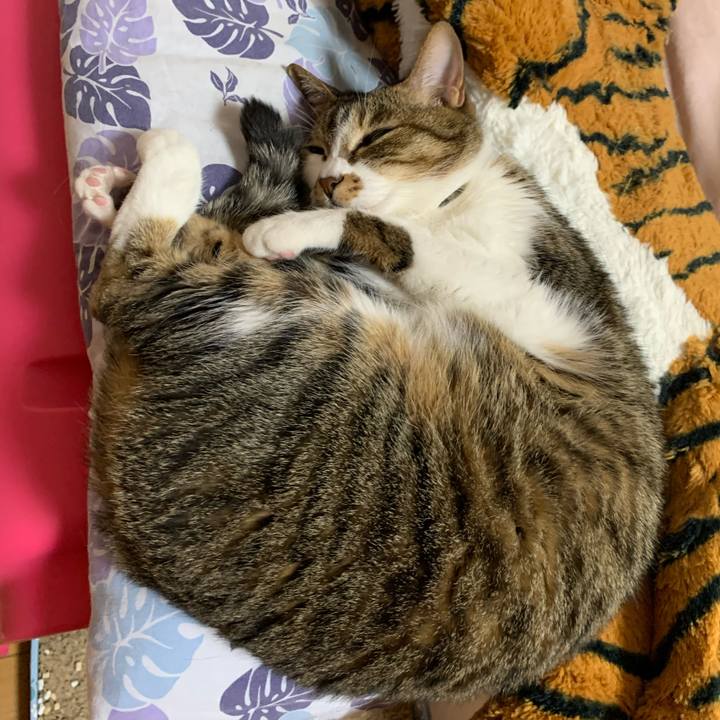 20e5f161 abad 45b3 baee c56e4a68f913 1614867369845