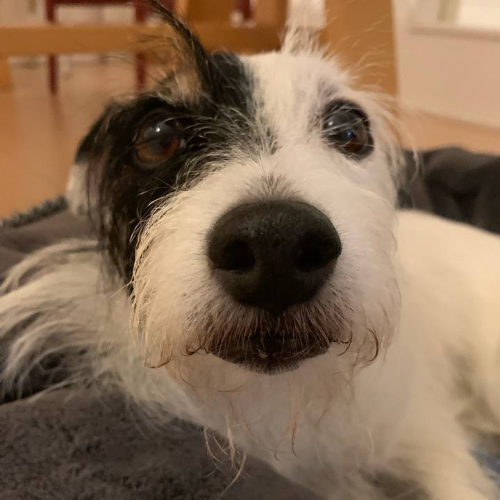 20e5f5c4 bce3 417c 8269 39e35d67df15 1696069601055