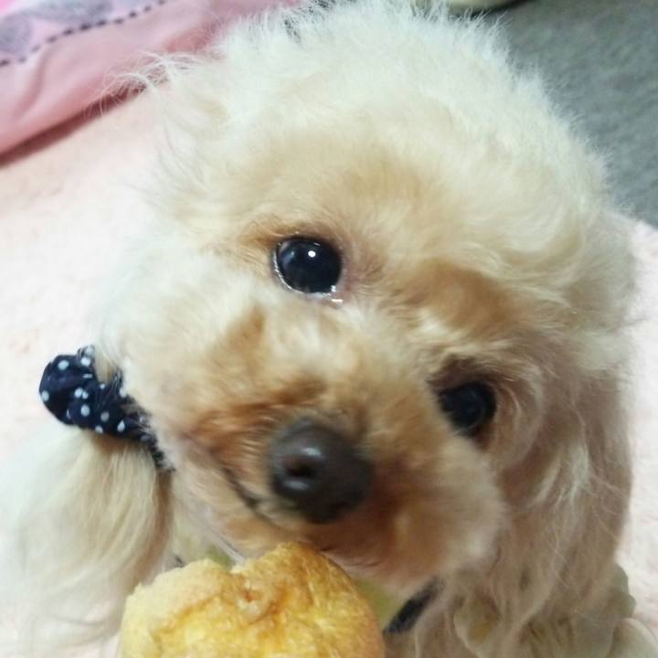 20e60f7f a33b 4eeb 94ad b0f09eb959dc 1561787773929