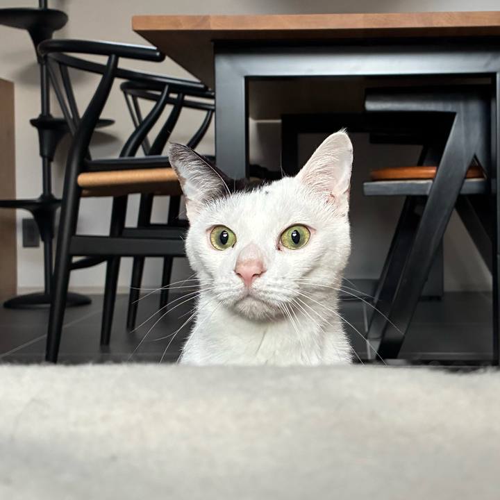 20e64526 eef8 43f8 9351 8282da0de17f 1768257325210