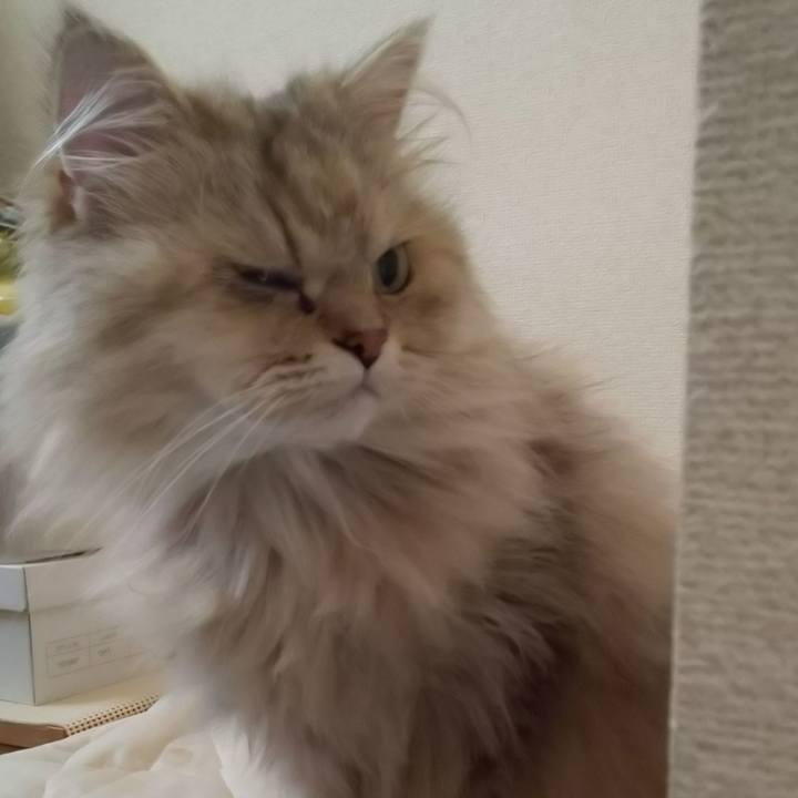 20e64783 ea6f 41c7 967e 6ef69c911389 1600401290874