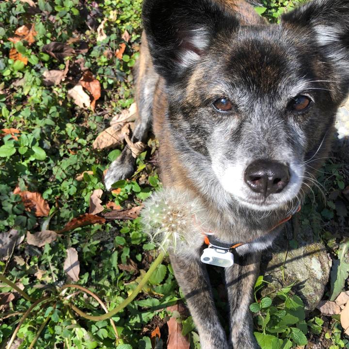 20e664e9 bd74 4568 b46d feb944ee14a0 1673433238846