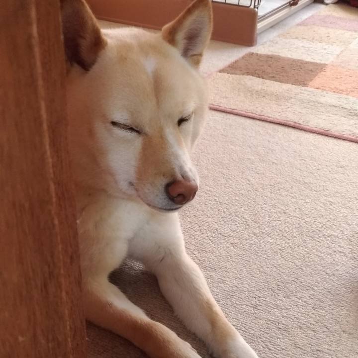 20e67290 243e 42db a9e2 9b49c4007b07 1554503593540