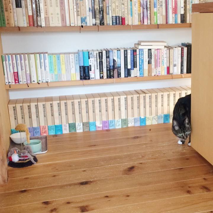 20e6a97f 6460 44f5 82b1 a9596236a1d3 1509664287973