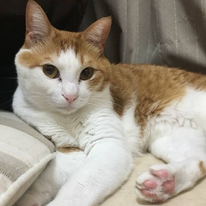 20e6b71f a479 41e5 8146 75c575026730 1525254173339