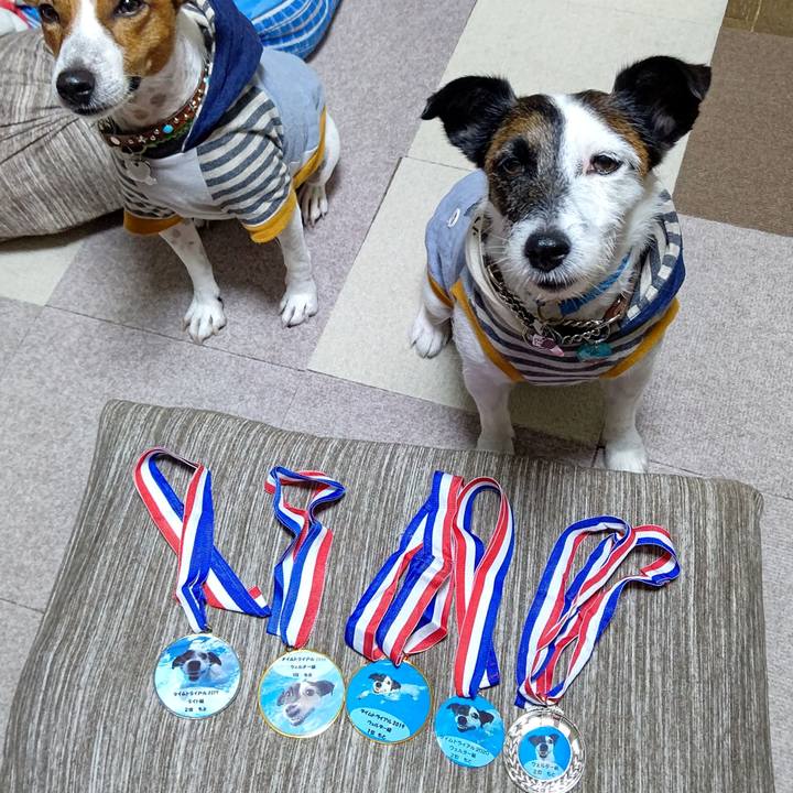 20e6ddb8 5cda 42dd ba77 33b19894fdb2 1632395443117