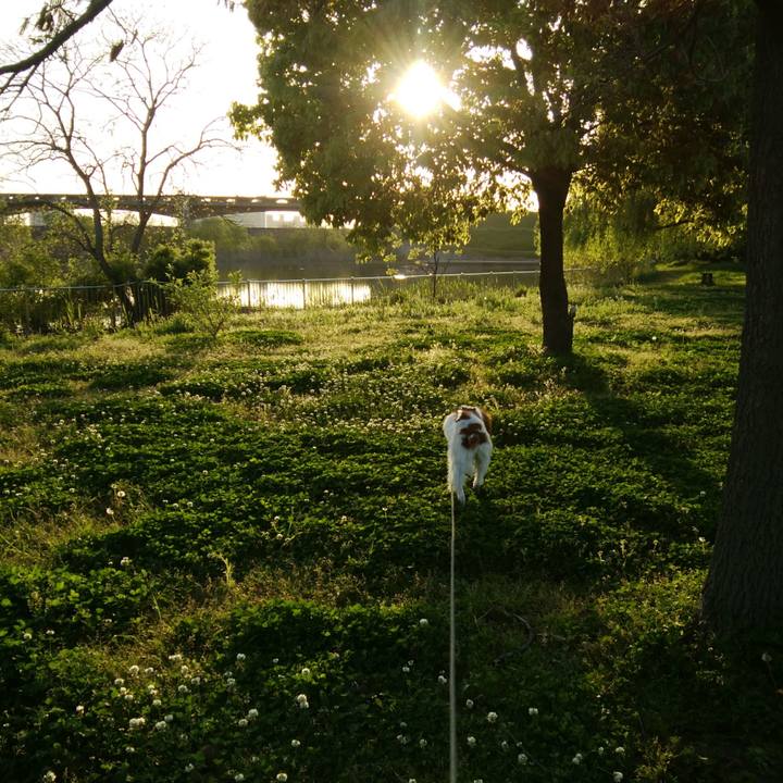 20e6fe22 da80 4213 bd9a ca3bc09d6ac1 1524052449503