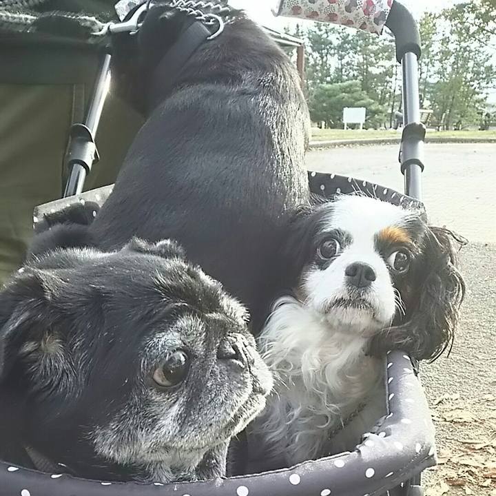 20e75081 e97c 4a46 b23c 31402d9e116e 1540020580183