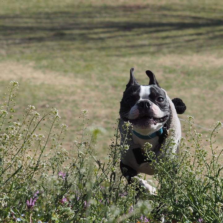 20e786ab 3641 4b1f 9400 b427e839c1c9 1614408798752