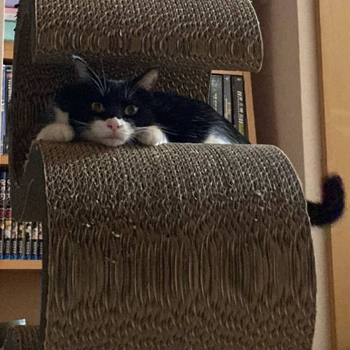 20e7b7b0 af32 4e80 97a4 9e0f790cf3bd 1630221003205