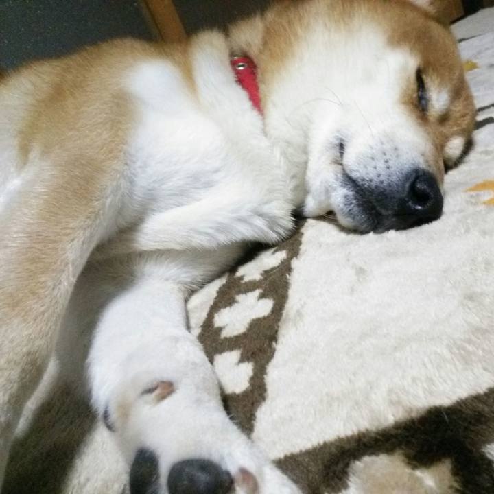 20e7bc12 15d2 4a86 9c90 c83e743150c1 1515238182124