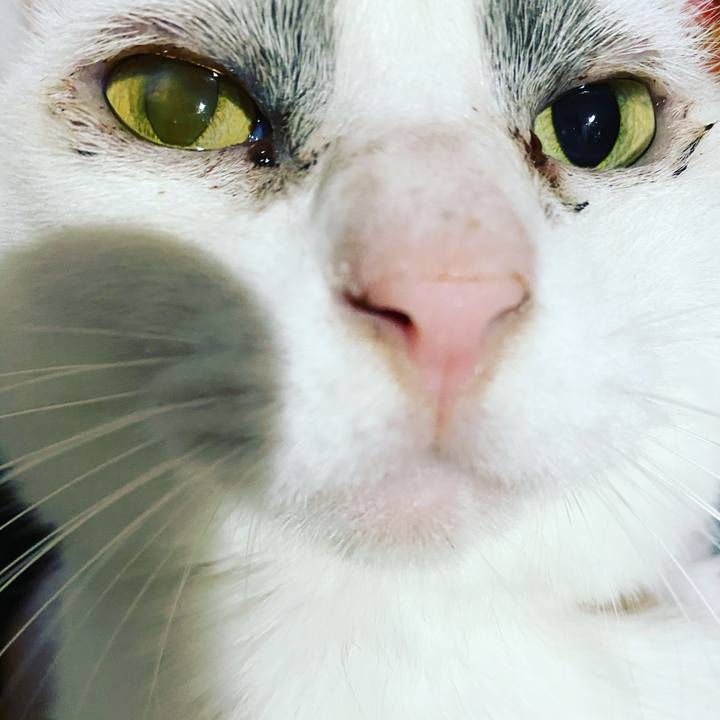 20e7c3d1 7bde 4427 8f12 8d6dfea8c2bc 1601096098652