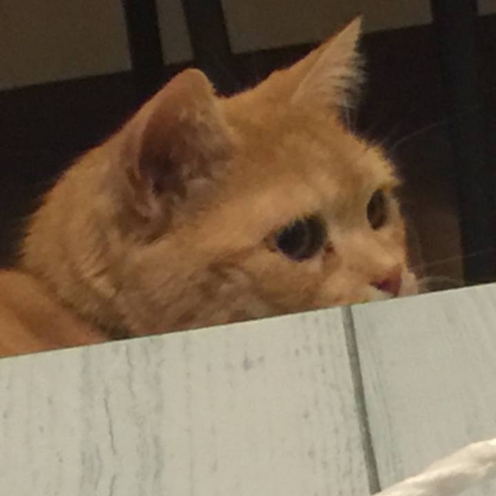 20e7d637 5fe6 40b6 8c44 fc004bbb8daf 1549638386112