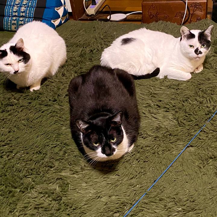 20e7f84e 2f87 4545 9048 12e9b7d75d59 1708173351173