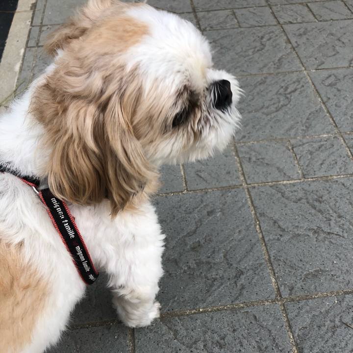 20e80706 2930 4cfd 880c a33d9d422688 1600724566259