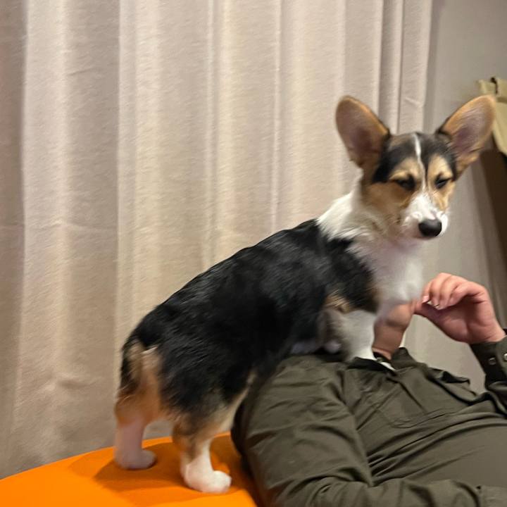 20e80b27 a497 4351 9722 2ae4ebce7f9e 1775295447829