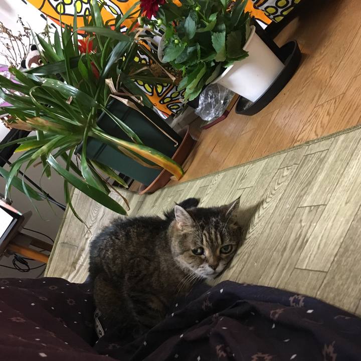 20e9008d c480 46e7 bf68 e1198ab4df78 1522501889006