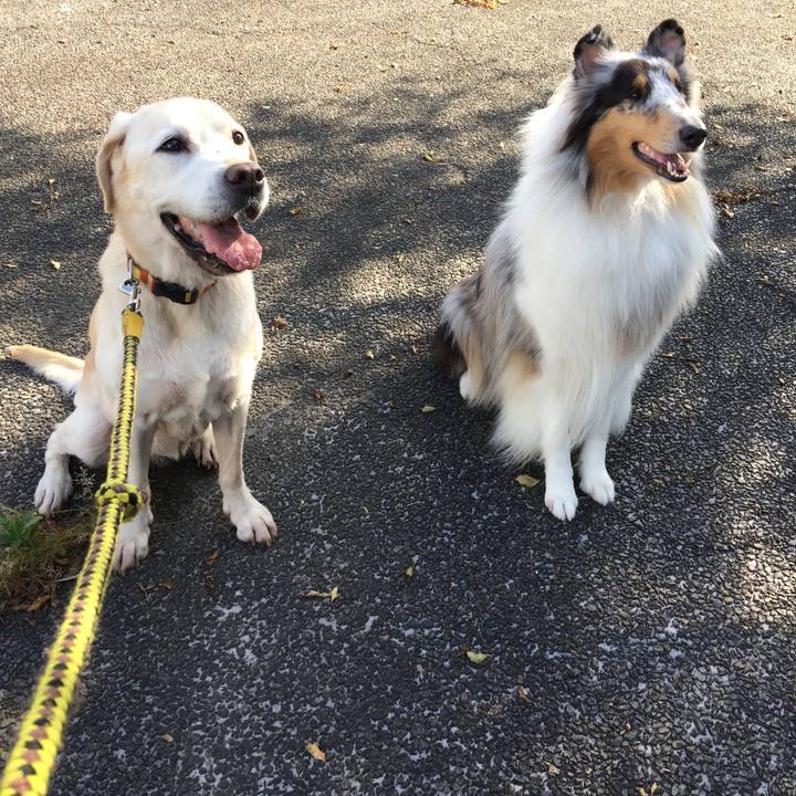 20e908ee 6e8f 4e06 bd41 2694eba2f528 1539498341127