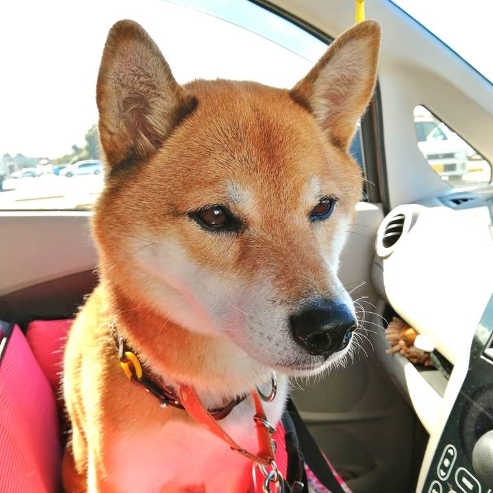 20e915d2 8d93 49a3 966e 6a6aeb497a73 1604895567261