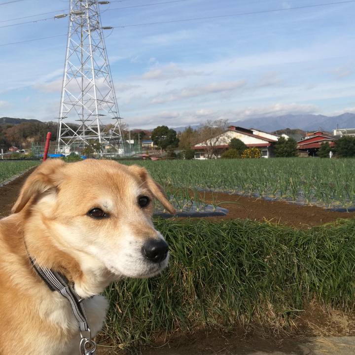 20e95601 79b6 4b2f aa0b 9d4f4b58860f 1545778877463